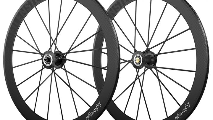 Ruedas LIGHTWEIGHT Meilenstein C 24E (cubierta)