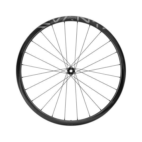 Juego ruedas Campagnolo Levante
