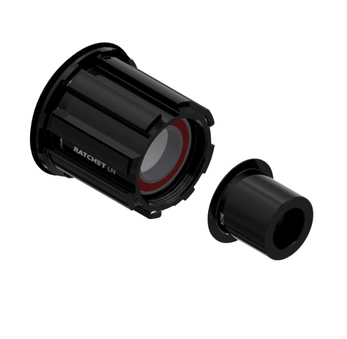 DT SWISS RATCHET LN núcleo para CAMPAGNOLO N3W
